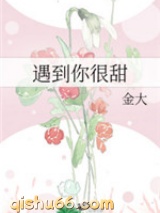 遇到你很甜小说