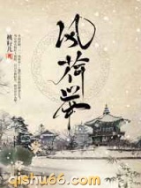 风荷举小说