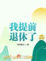 我提前退休了小说