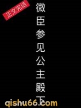 微臣，参见公主殿下小说