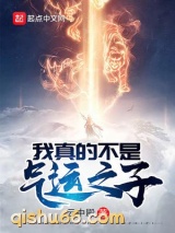 我真的不是气运之子小说