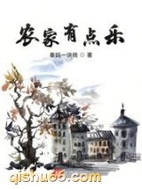 农家有点乐小说