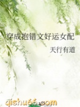 穿成抱错文好运女配小说