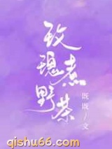 玫瑰煮野茶小说