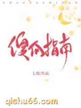 傻瓜指南小说