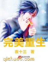 完美重生小说