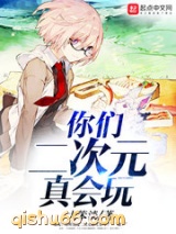 你们二次元真会玩小说