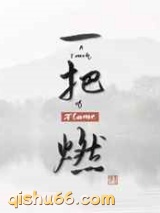 一把燃小说