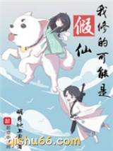 我修的可能是假仙小说