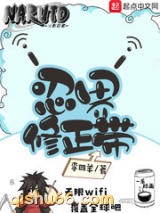 忍界修正带小说