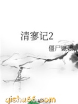 清寥记2小说