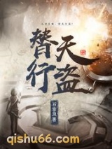 替天行盗小说