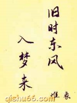 旧时东风入梦来小说