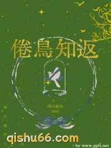 倦鸟知返小说