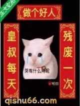 皇叔每天残废一次小说