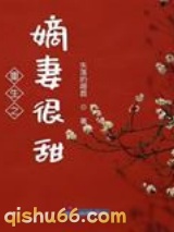 重生之嫡妻很甜小说