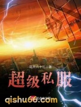 超级私服小说