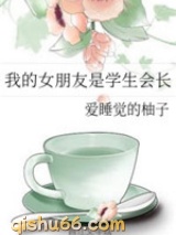 我的女朋友是学生会长小说