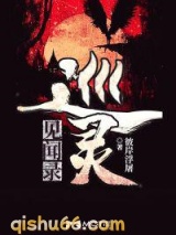 巡灵见闻录小说