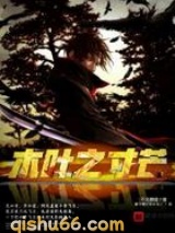 木叶之寸芒小说