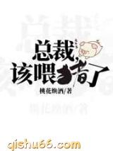 总裁，该喂猪了小说