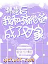 揣崽后我和孩他爸成了对家小说