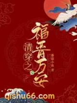 清穿之福晋万安小说