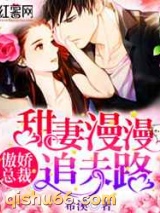 傲娇总裁：甜妻漫漫追夫路小说