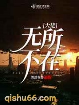 大佬无所不在小说