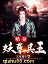 贴身妖孽兵王小说