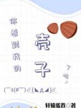 你看到我的壳子了吗小说