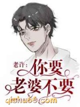 老许，你要老婆不要小说