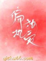 偏执独爱小说