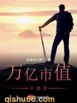 万亿市值不是梦小说