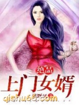 绝品上门女婿小说
