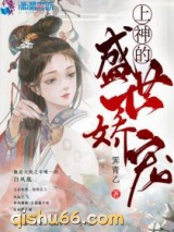 上神的盛世娇宠小说