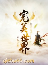 完美世界小说