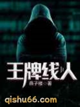 王牌线人小说