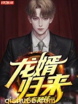 龙婿归来小说