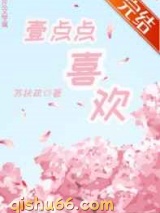 一点点喜欢小说