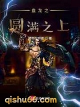 盘龙之圆满之上小说