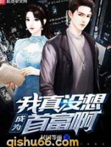 我真没想成为首富啊小说
