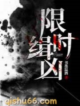 限时缉凶小说