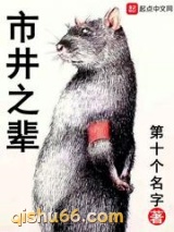 市井之辈小说