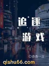 追逐游戏小说