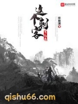 这个刺客有毛病小说