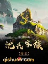 沈氏家族崛起小说