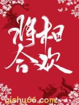 将相合欢小说