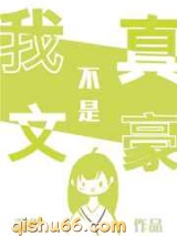我真不是文豪小说