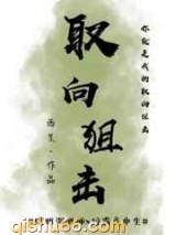 取向狙击小说